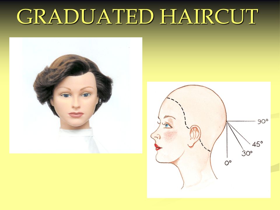 GRADUATED HAIRCUT. - ppt video online download