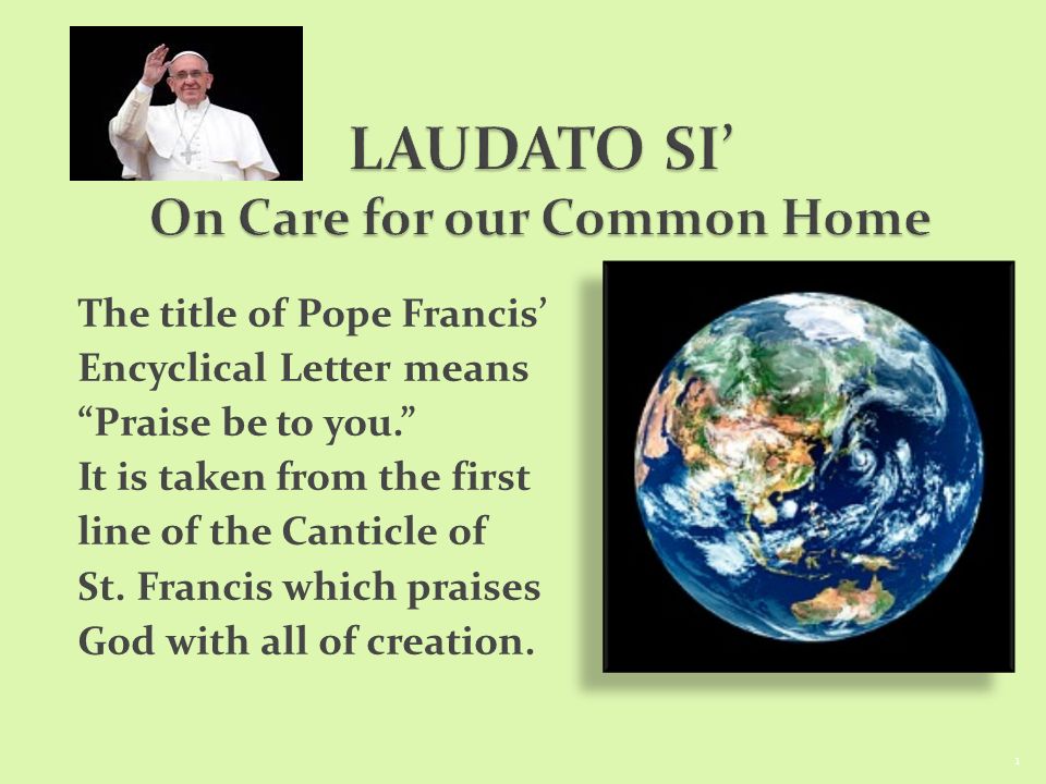 The title of Pope Francis' Encyclical Letter means “Praise be to you.” It  is taken from the first line of the Canticle of St. Francis which praises  God. - ppt download