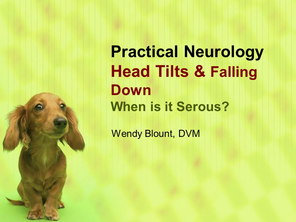 Tilt testing  Practical Neurology