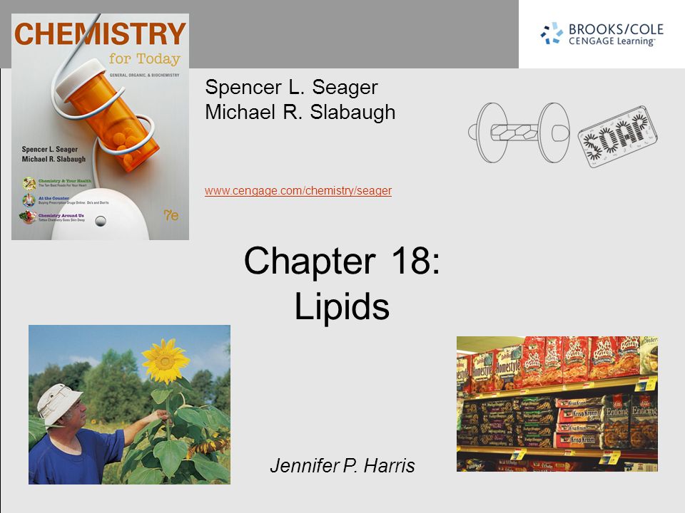 IMPORTANT FUNCTIONS OF LIPIDS - ppt download