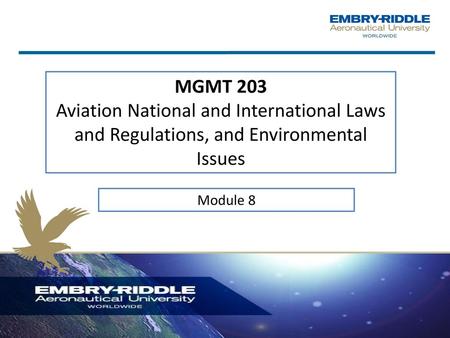 MGMT 203 Aviation National and International Laws and Regulations, and Environmental Issues Module 8.
