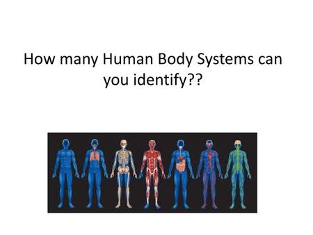 How many Human Body Systems can you identify??