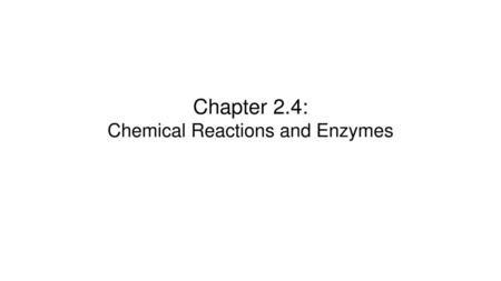 Chapter 2.4: Chemical Reactions and Enzymes