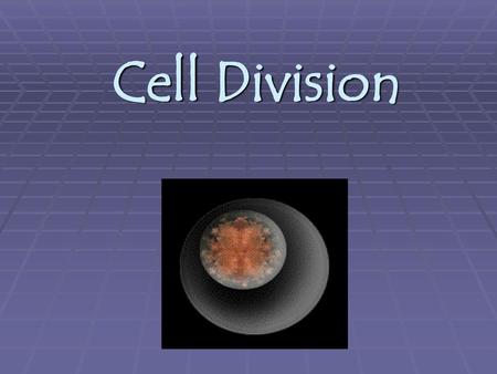 Cell Division.