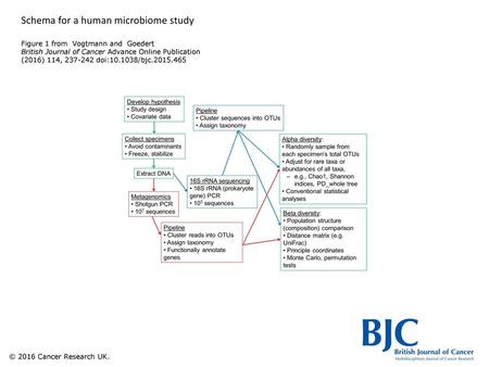 Schema for a human microbiome study