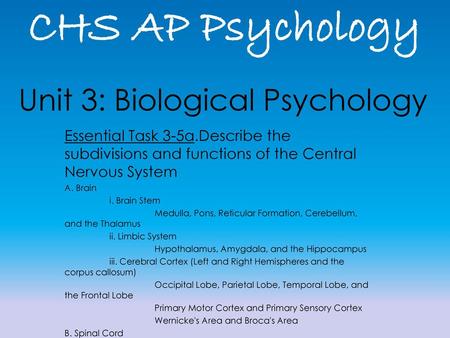 Unit 3: Biological Psychology