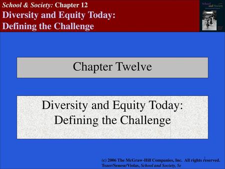 Diversity and Equity Today: Defining the Challenge
