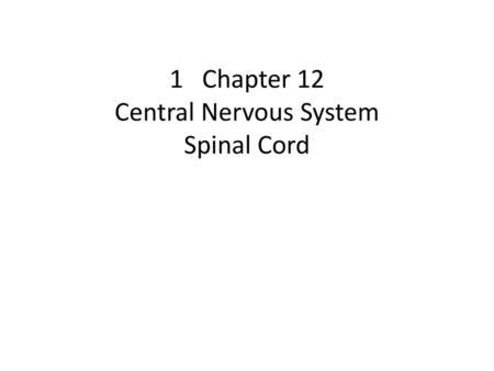 1 Chapter 12 Central Nervous System Spinal Cord