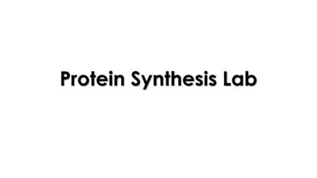 Protein Synthesis Lab.