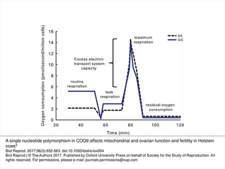 Figure 1. Representative example of the pattern of oxygen consumption for assessment of mitochondrial function. The dashed line represents values from.