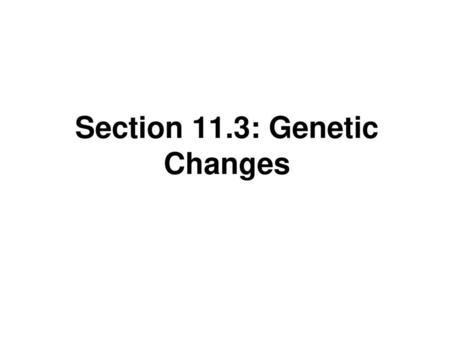 Section 11.3: Genetic Changes