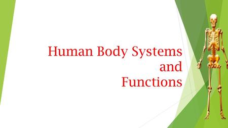 Human Body Systems and Functions