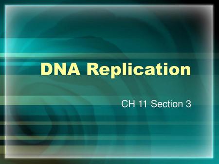 DNA Replication CH 11 Section 3.