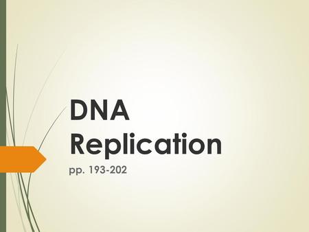 DNA Replication pp. 193-202.