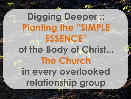 Planting the “SIMPLE ESSENCE” in every overlooked relationship group