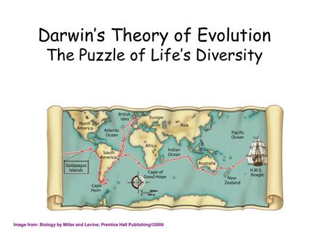 Darwin’s Theory of Evolution The Puzzle of Life’s Diversity