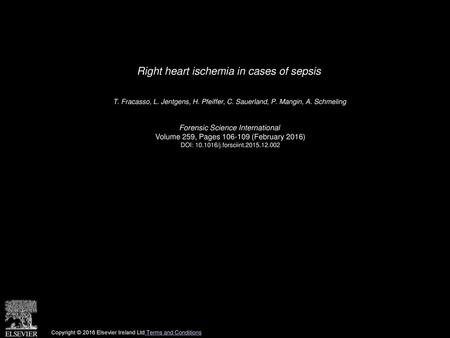 Right heart ischemia in cases of sepsis