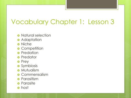 Vocabulary Chapter 1: Lesson 3