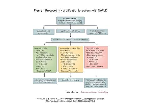 Figure 1 Proposed risk stratification for patients with NAFLD
