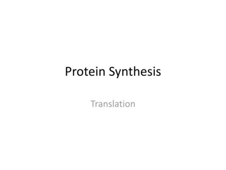 Protein Synthesis Translation.