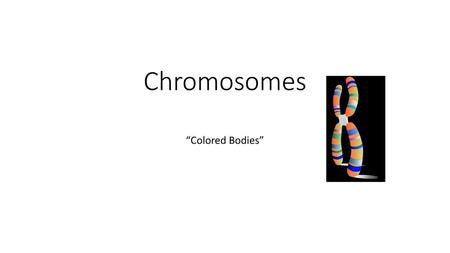 Chromosomes “Colored Bodies”.