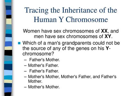 Tracing the Inheritance of the Human Y Chromosome