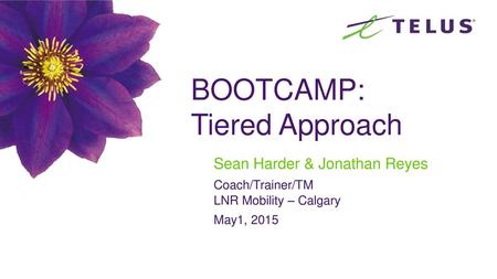 BOOTCAMP: Tiered Approach