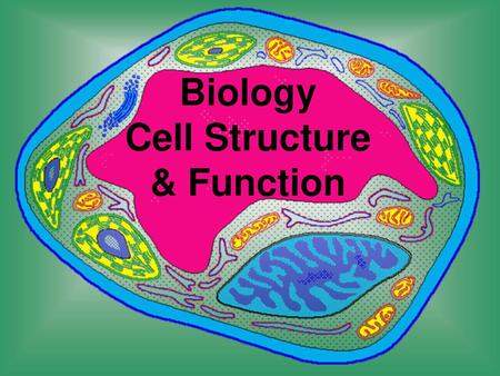Biology Cell Structure & Function