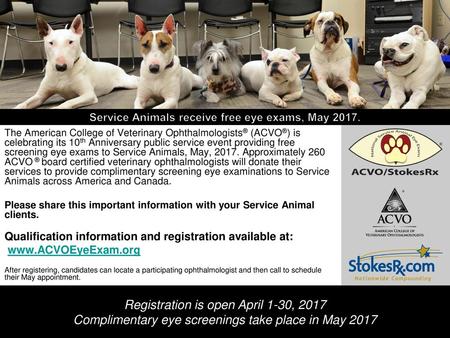 Service Animals receive free eye exams, May 2017.