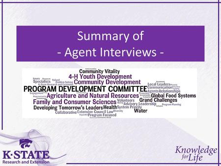 Summary of - Agent Interviews -