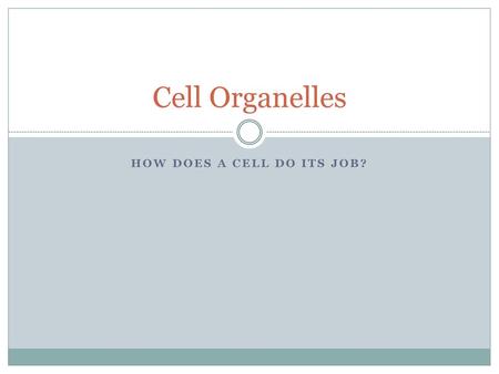 How does a cell do its job?