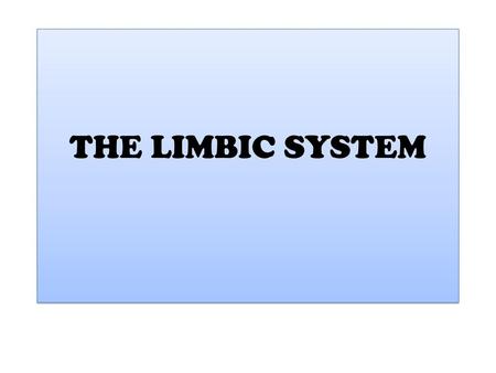 THE LIMBIC SYSTEM.