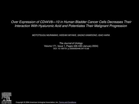 Over Expression of CD44V8—10 in Human Bladder Cancer Cells Decreases Their Interaction With Hyaluronic Acid and Potentiates Their Malignant Progression 