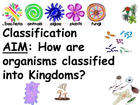 TOPIC: Classification AIM: How are organisms classified into Kingdoms?