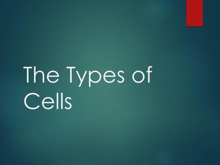 The Types of Cells.