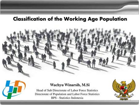 Classification of the Working Age Population