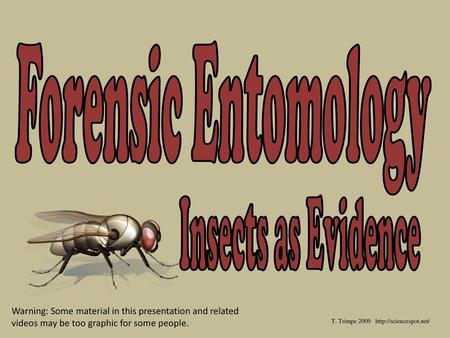 Forensic Entomology Insects as Evidence