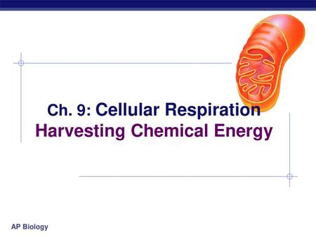 Ch. 9: Cellular Respiration Harvesting Chemical Energy