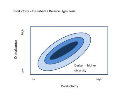 Productivity – Disturbance Balance Hypothesis