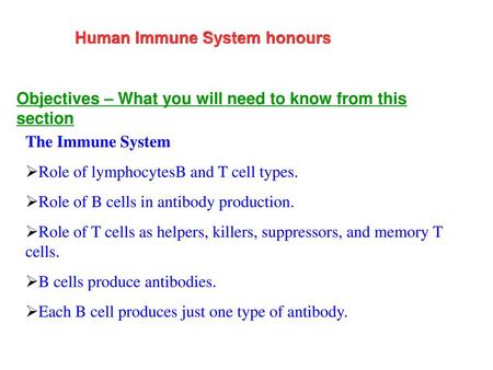 Human Immune System honours