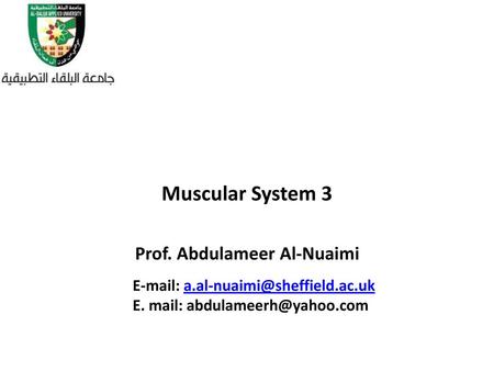 Muscular System 3 Prof. Abdulameer Al-Nuaimi