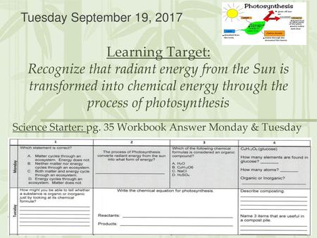 Science Starter: pg. 35 Workbook Answer Monday & Tuesday