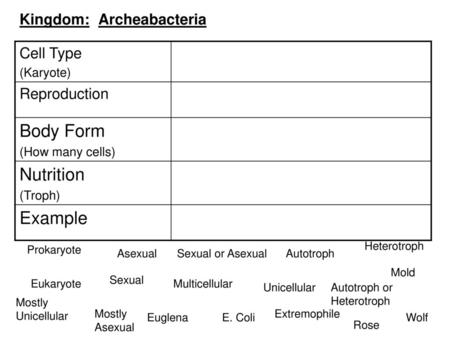 Body Form Nutrition Example Kingdom: Archeabacteria Cell Type