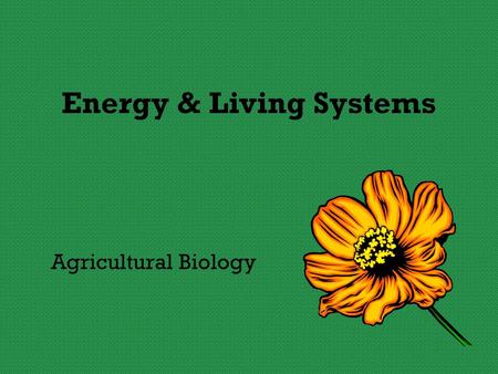 Energy & Living Systems