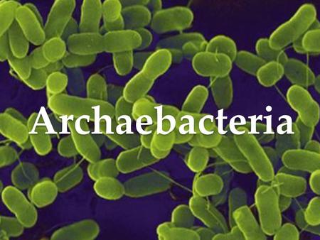 Archaebacteria Instructional Approach(s): Have students identify characteristics from the picture. You may want to toggle between this slide and #21 for.