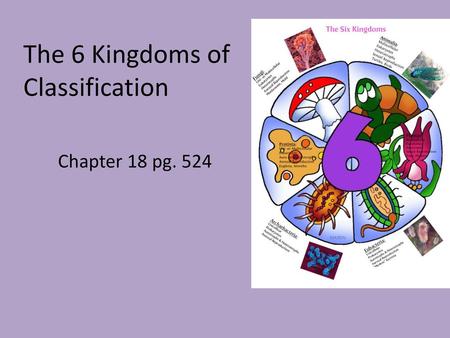 The 6 Kingdoms of Classification