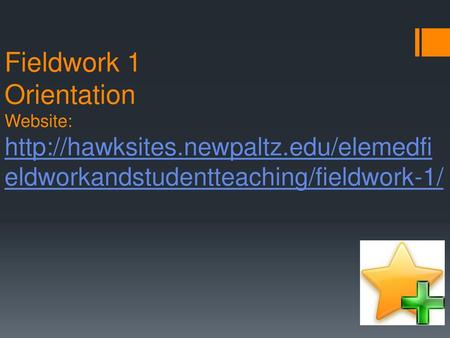 Fieldwork 1 Orientation Website:  newpaltz