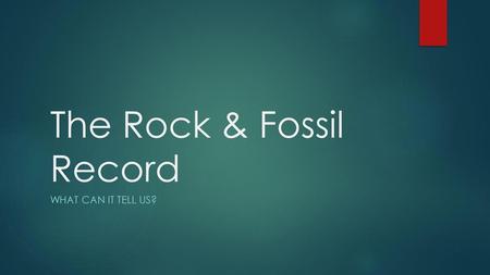 The Rock & Fossil Record