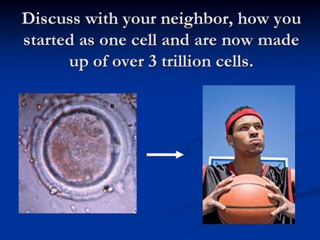 Discuss with your neighbor, how you started as one cell and are now made up of over 3 trillion cells.
