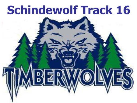 Schindewolf Track 16.